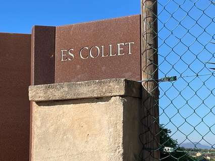 Parcela rústica en venta en Manacor