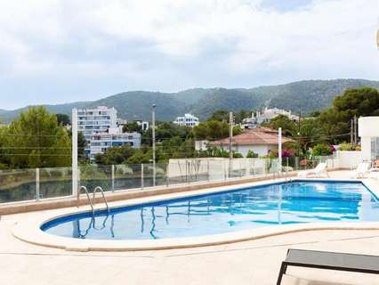 Planta baja en venta en Palma de Mallorca