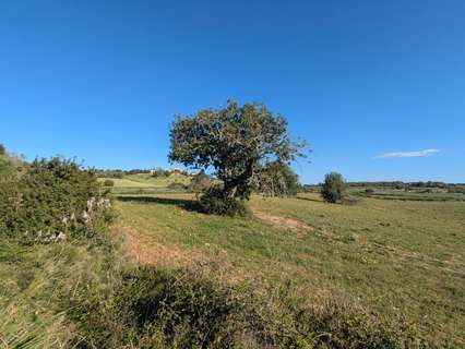Parcela rústica en venta en Sant Llorenç des Cardassar
