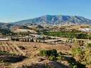 Parcela rústica en venta en Mijas
