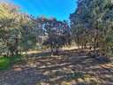 Parcela urbana en venta en El Casar rebajada
