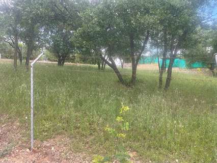 Parcela urbana en venta en Uceda