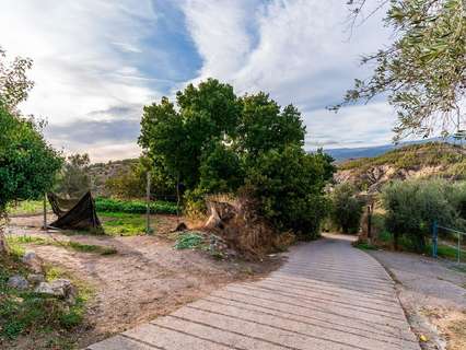 Parcela rústica en venta en Alcolea