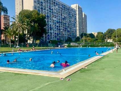 Estudio en venta en Benidorm