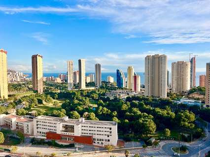 Piso en alquiler en Benidorm