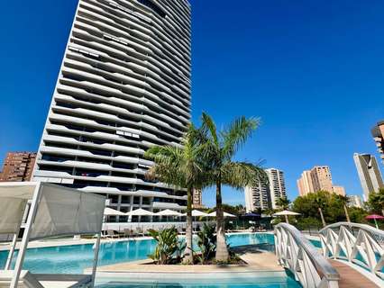 Piso en alquiler en Benidorm