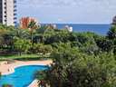 Piso en venta en Benidorm rebajado