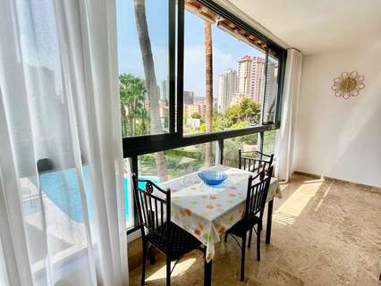Apartamento en alquiler en Benidorm