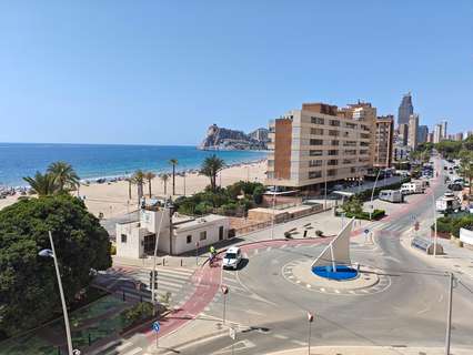Piso en alquiler en Benidorm