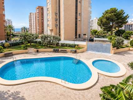 Piso en alquiler en Benidorm