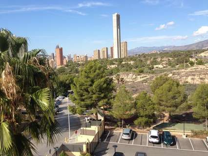 Apartamento en alquiler en Benidorm