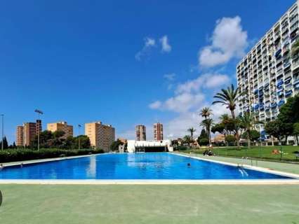 Apartamento en alquiler en Benidorm