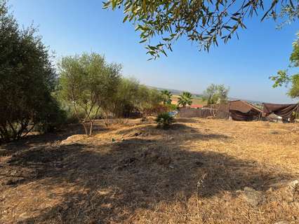 Parcela rústica en venta en Almodóvar del Río