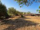 Parcela rústica en venta en Almodóvar del Río