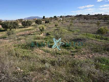 Parcela rústica en venta en Totana
