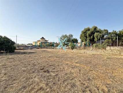Parcela rústica en venta en Fuente Álamo de Murcia