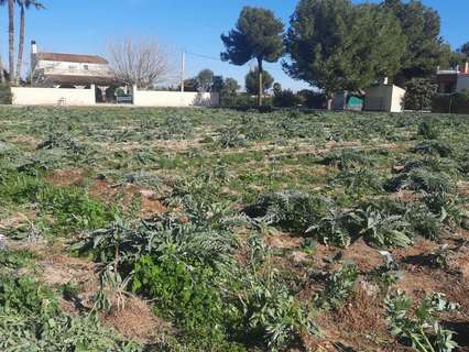 Parcela rústica en venta en Dolores