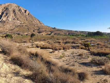 Parcela rústica en venta en Alicante