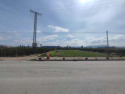 Parcela urbana en venta en Murcia zona El Raal