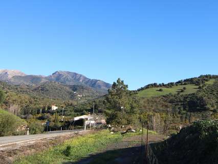 Parcela rústica en venta en Tolox rebajada