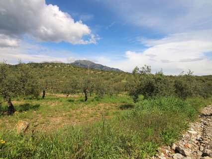 Parcela rústica en venta en Alozaina