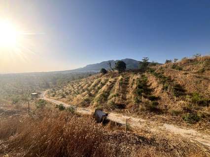 Parcela rústica en venta en Alhaurín el Grande
