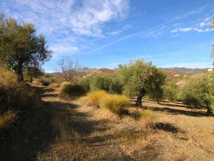 Parcela rústica en venta en Tolox