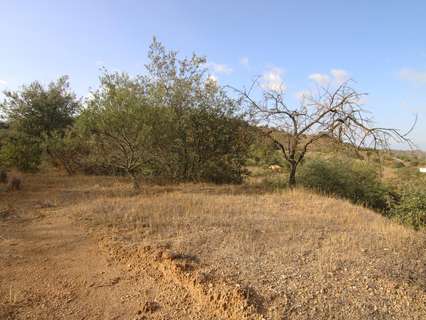 Parcela rústica en venta en Coín