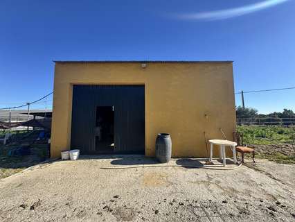 Parcela rústica en venta en Los Palacios y Villafranca