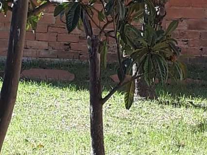 Parcela rústica en venta en Esparreguera