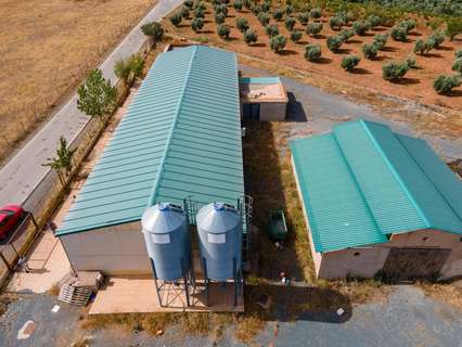 Parcela rústica en venta en Cogollos de Guadix