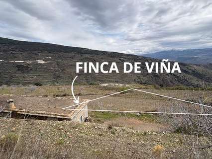 Parcela rústica en venta en Granada