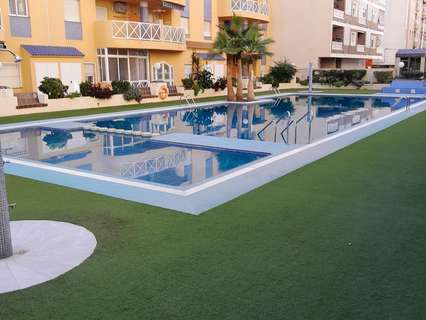 Apartamento en alquiler en Torrevieja