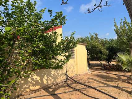 Parcela rústica en venta en La Selva del Camp