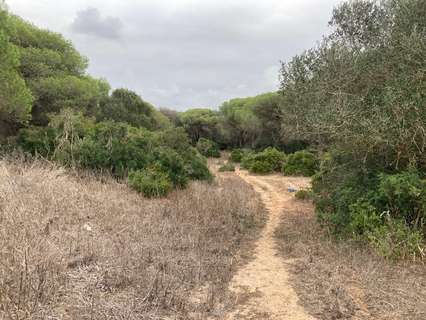 Piso en venta en Vejer de la Frontera