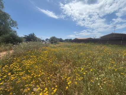 Parcela rústica en venta en Vejer de la Frontera zona El Palmar