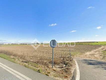 Parcela rústica en venta en Sanlúcar de Barrameda