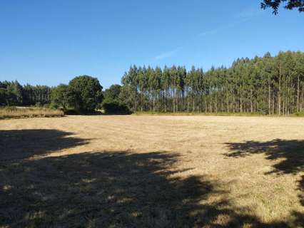 Parcela rústica en venta en Begonte