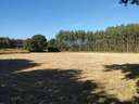Parcela rústica en venta en Begonte