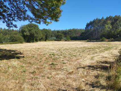 Parcela rústica en venta en Begonte