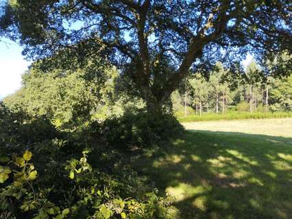 Parcela rústica en venta en Begonte