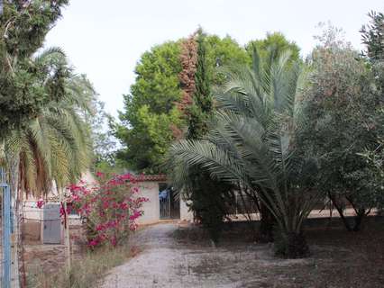 Parcela rústica en venta en Molina de Segura rebajada