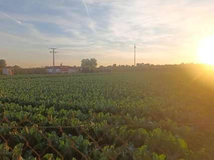 Parcela rústica en venta en Lorquí