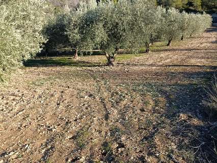 Parcela rústica en venta en Bullas