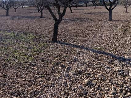 Parcela rústica en venta en Bullas