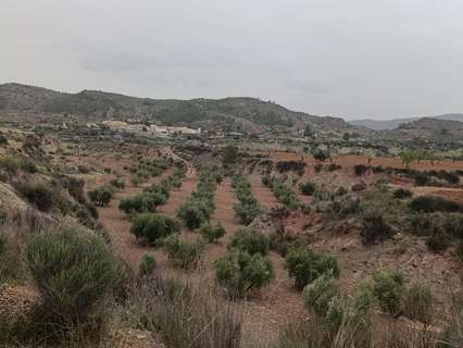 Parcela rústica en venta en Cehegín