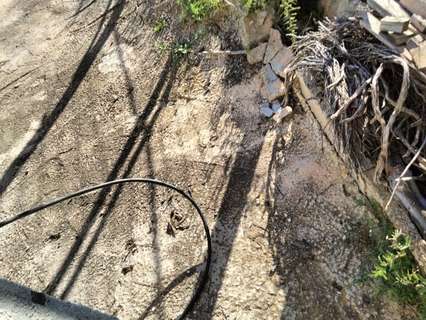 Parcela rústica en venta en Cehegín