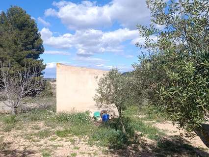 Parcela rústica en venta en Cehegín