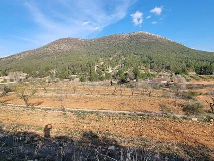 Parcela rústica en venta en Bullas