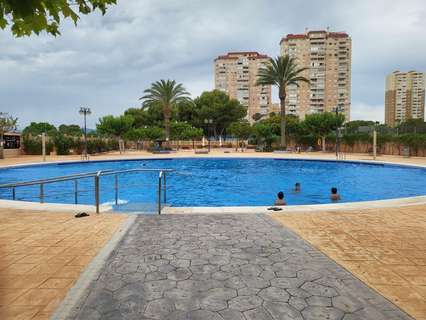 Piso en alquiler en El Campello